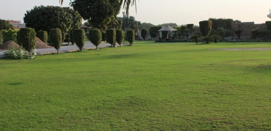 BAHRIA TOWN FARMHOUSE 18