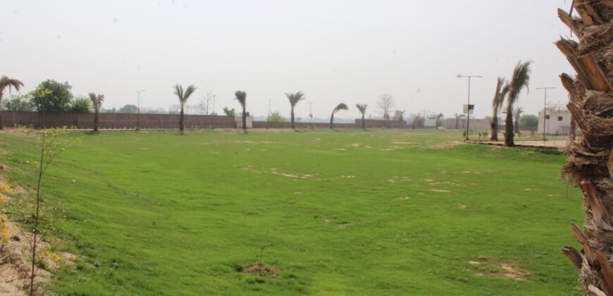 BEDIAN ROAD FARM HOUSE 26