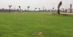 BEDIAN ROAD FARM HOUSE 26