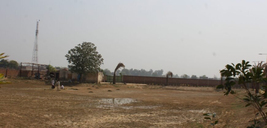 BEDIAN ROAD FARM HOUSE 26