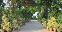 BEDIAN ROAD FARM HOUSE 24