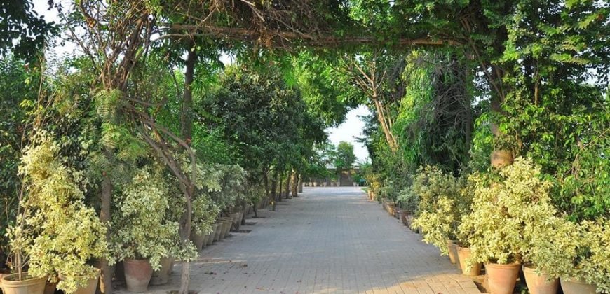 BEDIAN ROAD FARM HOUSE 24