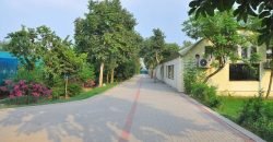 BEDIAN ROAD FARM HOUSE 24