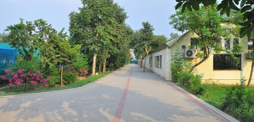 BEDIAN ROAD FARM HOUSE 24