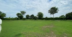 BEDIAN ROAD FARMHOUSE 28