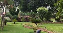 WAPDA TOWN FARMHOUSE 134