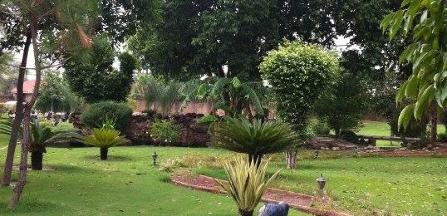 WAPDA TOWN FARMHOUSE 134