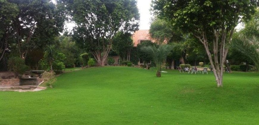 QUAIDEAZAM INTERCHANGE FARMHOUSE 79