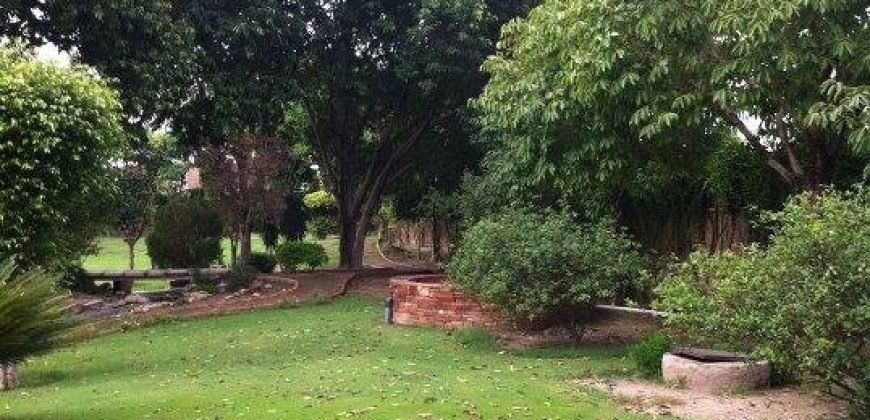 WAPDA TOWN FARMHOUSE 134