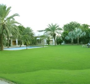 DHA FARMHOUSE 03