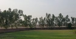 DHA FARMHOUSE 74
