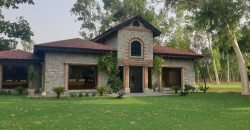 RAIWIND ROAD FARMHOUSE 32