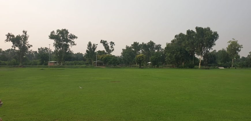 RAIWIND ROAD FARMHOUSE 32