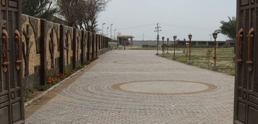 G.T ROAD FARMHOUSE 39