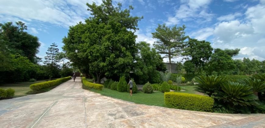 BEDIAN ROAD FARMHOUSE 28