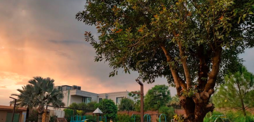 BEDIAN ROAD FARMHOUSE 276