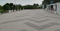 THOKAR FARMHOSUE 277