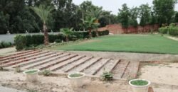 THOKAR FARMHOSUE 277