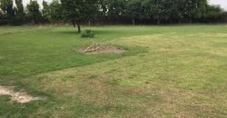 BARKI ROAD FARMHOUSE 91