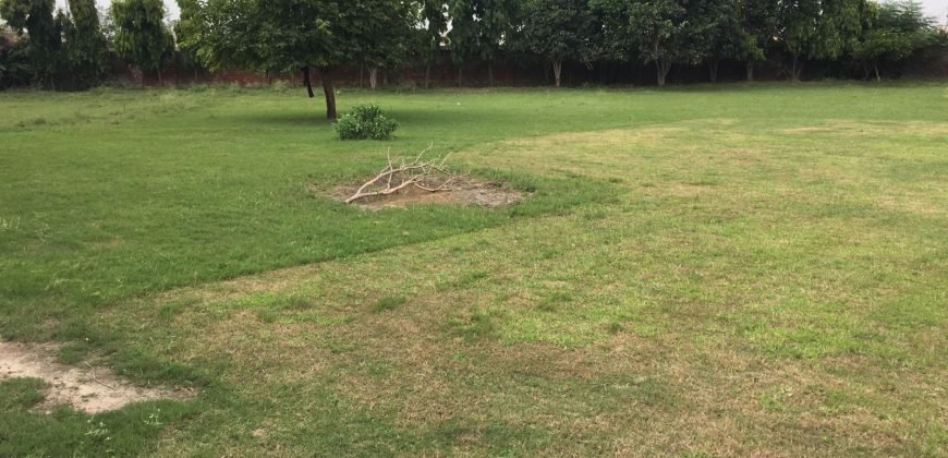 BARKI ROAD FARMHOUSE 91