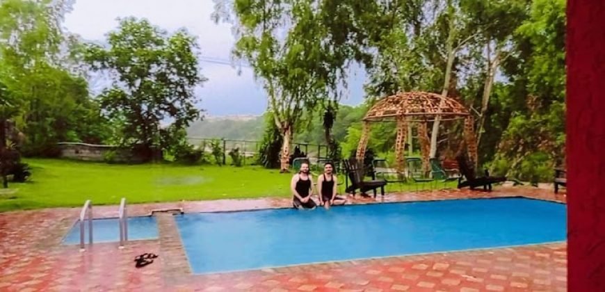 JAPAN ROAD FARMHOUSE 234