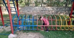 JAPAN ROAD FARMHOUSE 234