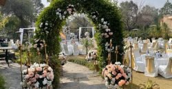 JAPAN ROAD FARMHOUSE 234