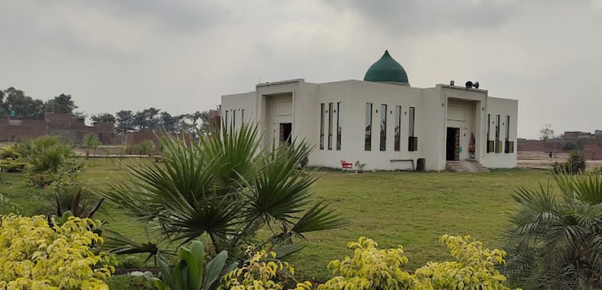 BURJ ATARI FARMHOUSE 57