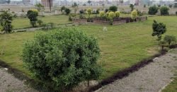 BURJ ATARI FARMHOUSE 57