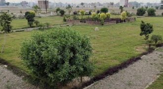 BURJ ATARI FARMHOUSE 57