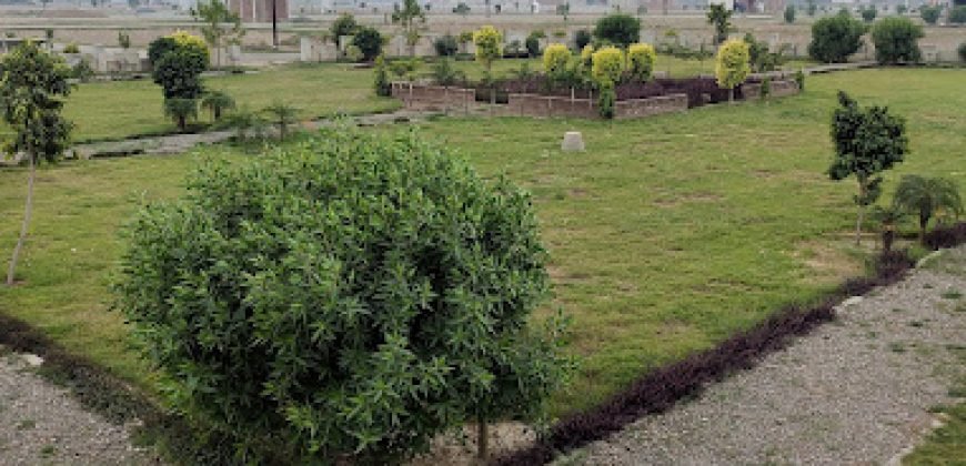 BURJ ATARI FARMHOUSE 57