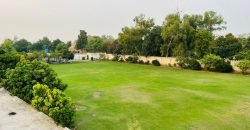 GREENVIEW SOCIETY FARMHOUSE 50