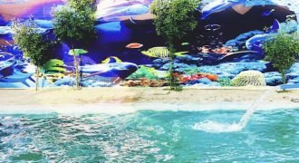 SWIMMING POOL SHAHDARA 37