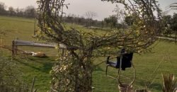 BEDIAN ROAD  FARMHOUSE 260