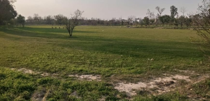 BEDIAN ROAD  FARMHOUSE 260