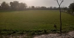 BEDIAN ROAD  FARMHOUSE 260