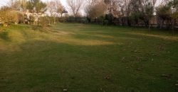 BEDIAN ROAD  FARMHOUSE 260