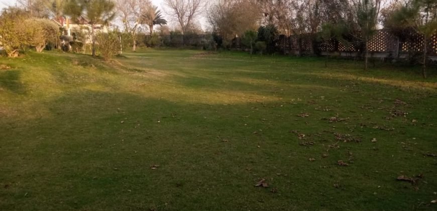 BEDIAN ROAD  FARMHOUSE 260