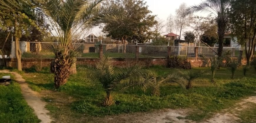 BEDIAN ROAD  FARMHOUSE 260