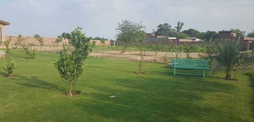 SWIMMING POOL BEDIAN  ROAD 01