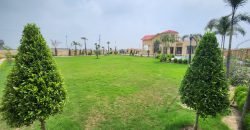 BARKI  ROAD FARMHOUSE 195