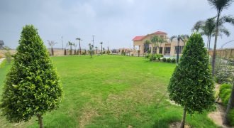 BARKI  ROAD FARMHOUSE 195