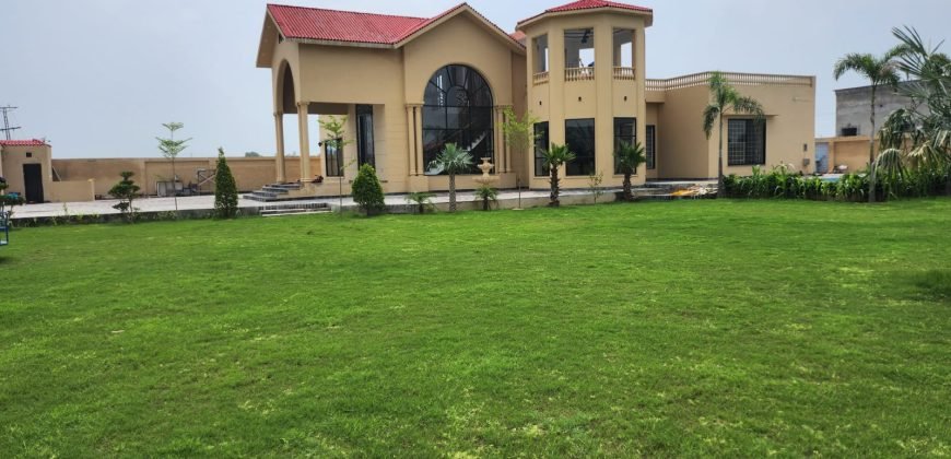 BARKI  ROAD FARMHOUSE 195