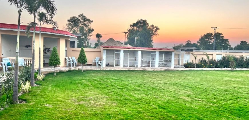 BARKI  ROAD FARMHOUSE 195