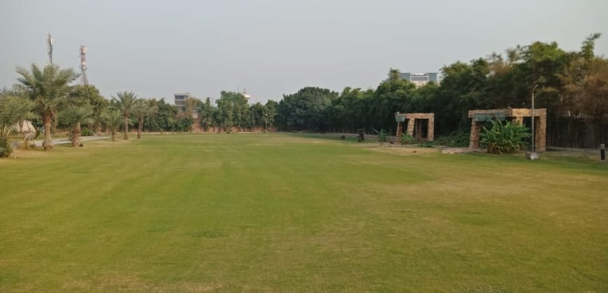 AIRPORT ROAD FARMHOUSE  182