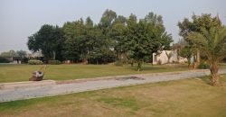 AIRPORT ROAD FARMHOUSE  182