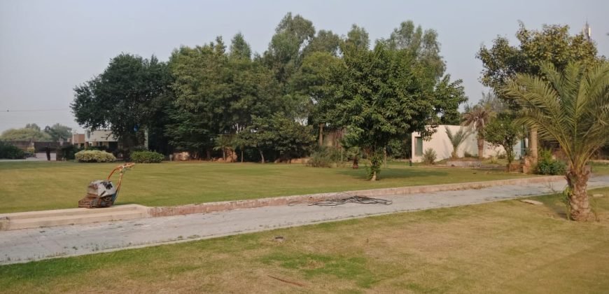 AIRPORT ROAD FARMHOUSE  182