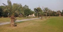 AIRPORT ROAD FARMHOUSE  182