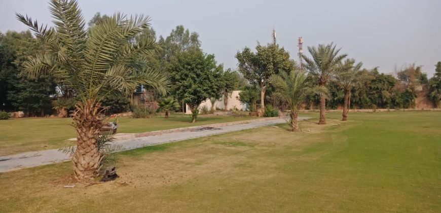 AIRPORT ROAD FARMHOUSE  182