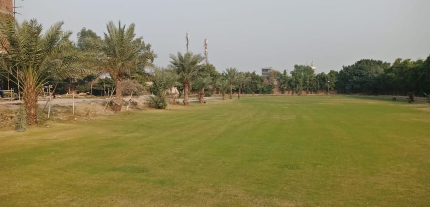 AIRPORT ROAD FARMHOUSE  182